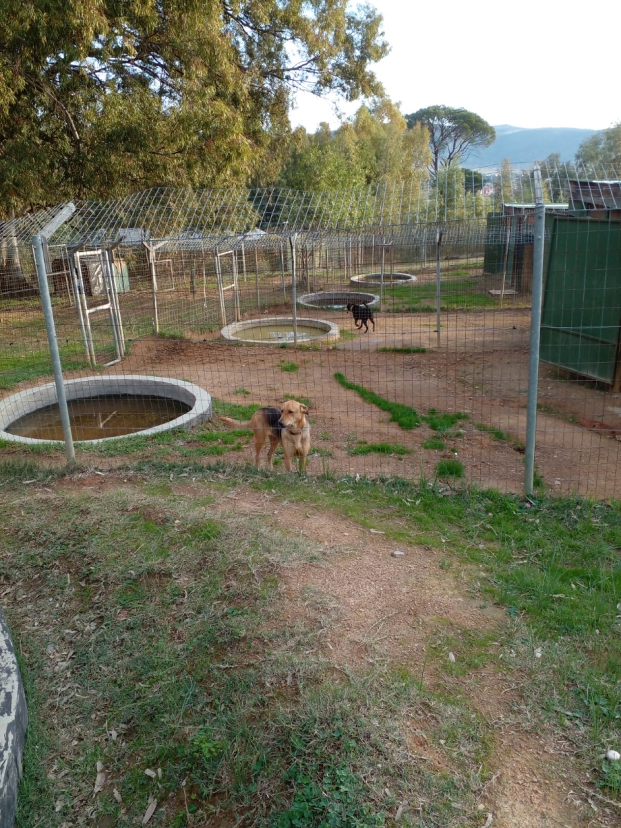 2 Bedroom Property for Sale in Paarl Rural Western Cape